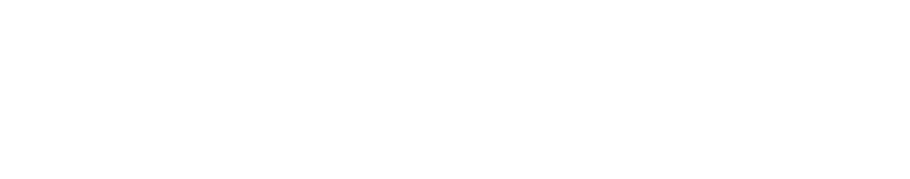 VeryCar